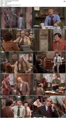 Barney Miller S02 DVDRip x265-NGP