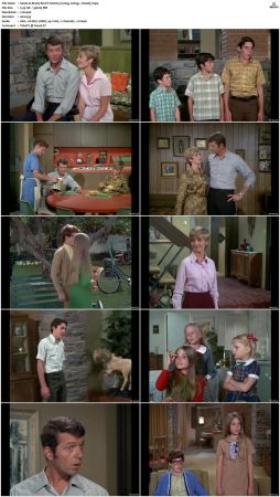 The Brady Bunch S02 DVDRip x264-NGP