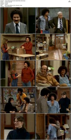 Welcome Back Kotter S03 DVDRip x264-NGP