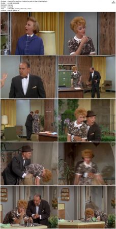 The Lucy Show S05 DVDRip x264-NGP