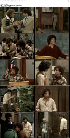Welcome Back Kotter S04 DVDRip x264-NGP