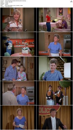 The Brady Bunch S04 DVDRip x264-NGP
