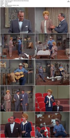 The Lucy Show S04 DVDRip x264-NGP