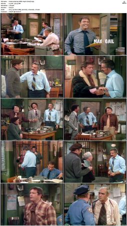 Barney Miller S03 DVDRip x264-NGP