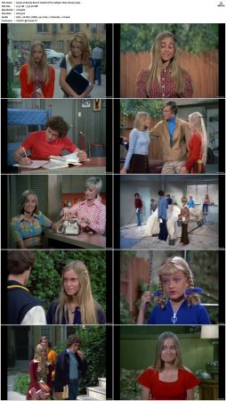 The Brady Bunch S04 DVDRip x264-NGP