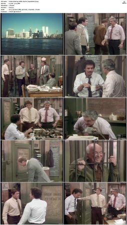 Barney Miller S07 DVDRip x264-NGP
