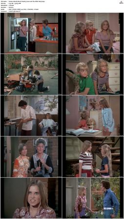 The Brady Bunch S04 DVDRip x264-NGP