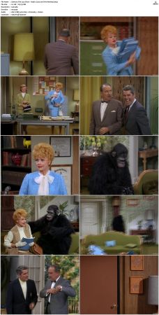The Lucy Show S05 DVDRip x264-NGP
