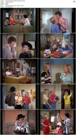 The Brady Bunch S05 DVDRip x264-NGP