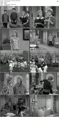 The Lucy Show S01 DVDRip x264-NGP