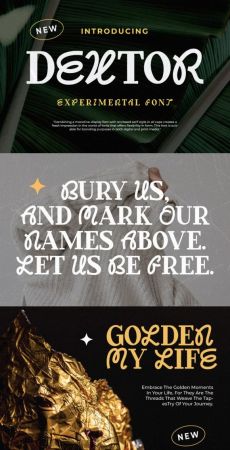 CM - Dextor - Display Font 92014232