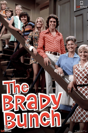 The Brady Bunch S01 DVDRip x264-NGP