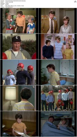 The Brady Bunch S02 DVDRip x264-NGP