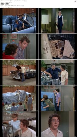 The Brady Bunch S03 DVDRip x264-NGP