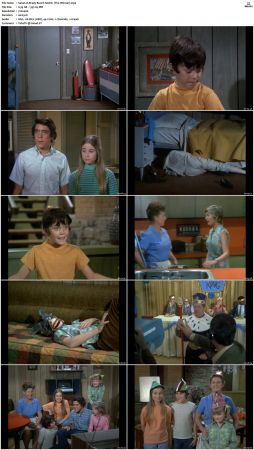 The Brady Bunch S02 DVDRip x264-NGP