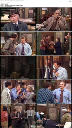 Barney Miller S02 DVDRip x265-NGP