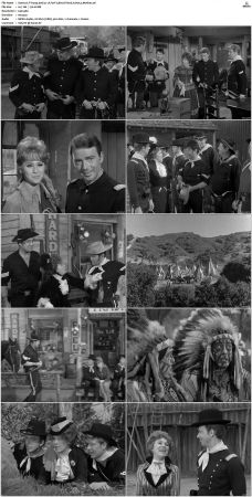 F Troop S01 DVDRip XviD-cOOt