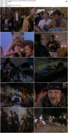 The Adventures of Brisco County Jr S01 DVDRip NTSC DD2 0 x264-LiGHTSPEED