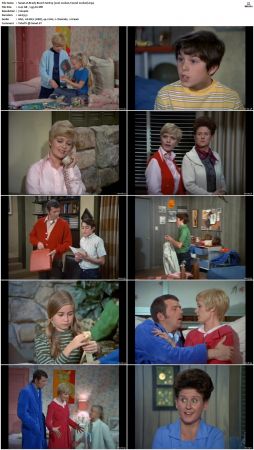 The Brady Bunch S01 DVDRip x264-NGP
