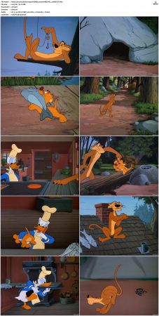 Hook Lion and Sinker 1950 DVDRip x264-HANDJOB