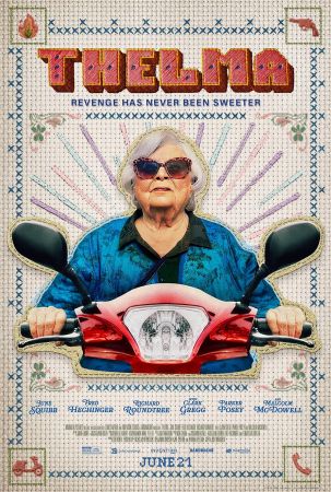 Thelma 2024 1080p 10bit WEBRip 6CH x265 HEVC-PSA