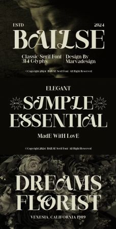 EE - Bailse - Serif Font 887GD23