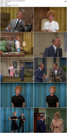 The Lucy Show S05 DVDRip x264-NGP