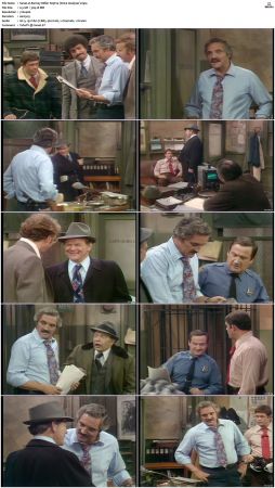 Barney Miller S05 DVDRip x264-NGP