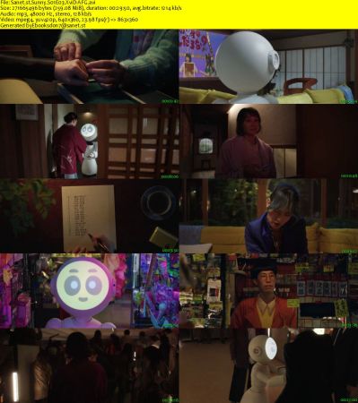 Sunny S01E03 XviD-AFG