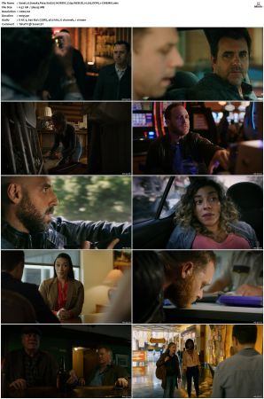 Sneaky Pete S02 NORDiC 720p WEB-DL H 265 DDP5 1-CiNEMiX