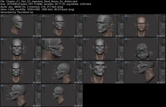 Master Sculpting Heads (V1.3) – 3D Blender Course