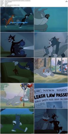Smarty Cat 1955 1080p AI UPSCALE HEVC 10Bit AAC 2.0 H265-R&amp;H