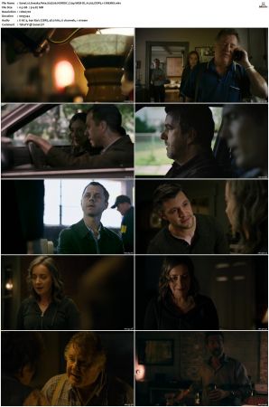 Sneaky Pete S02 NORDiC 720p WEB-DL H 265 DDP5 1-CiNEMiX