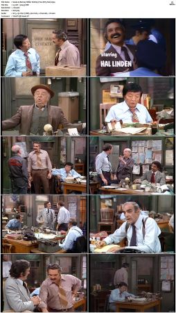 Barney Miller S02 DVDRip x265-NGP