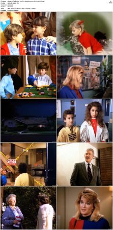 The Bradys S01 DVDRip x264-NGP