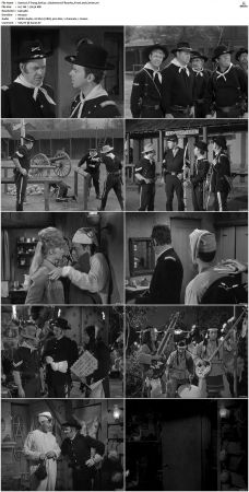 F Troop S01 DVDRip XviD-cOOt