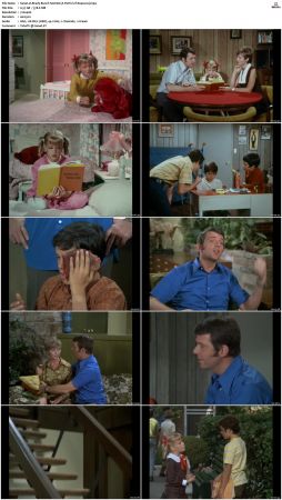 The Brady Bunch S02 DVDRip x264-NGP