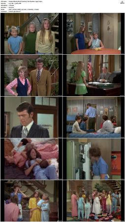 The Brady Bunch S02 DVDRip x264-NGP