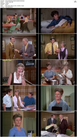 The Brady Bunch S02 DVDRip x264-NGP