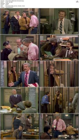 Barney Miller S07 DVDRip x264-NGP