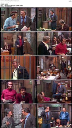 Barney Miller S02 DVDRip x265-NGP