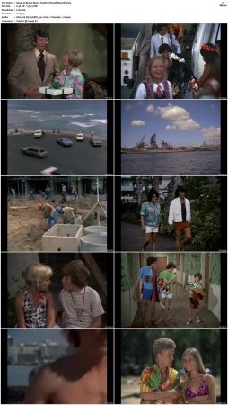 The Brady Bunch S04 DVDRip x264-NGP