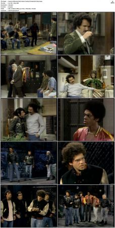 Welcome Back Kotter S02 DVDRip x264-NGP