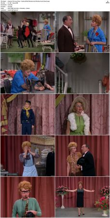 The Lucy Show S02 DVDRip x264-NGP