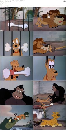 Pluto At The Zoo 1942 DVDRip x264-HANDJOB