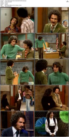 Welcome Back Kotter S02 DVDRip x264-NGP