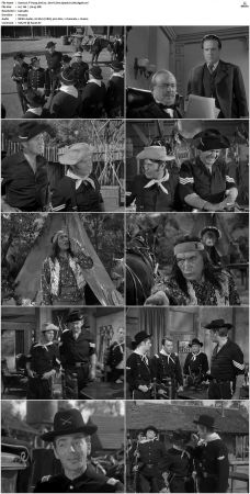 F Troop S01 DVDRip XviD-cOOt