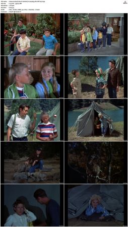The Brady Bunch S01 DVDRip x264-NGP