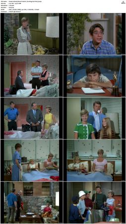The Brady Bunch S02 DVDRip x264-NGP