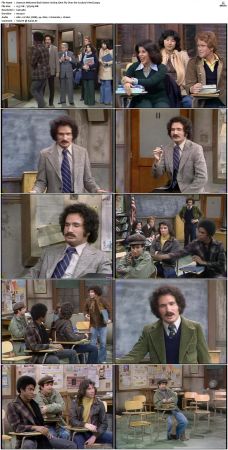Welcome Back Kotter S01 DVDRip x264-NGP